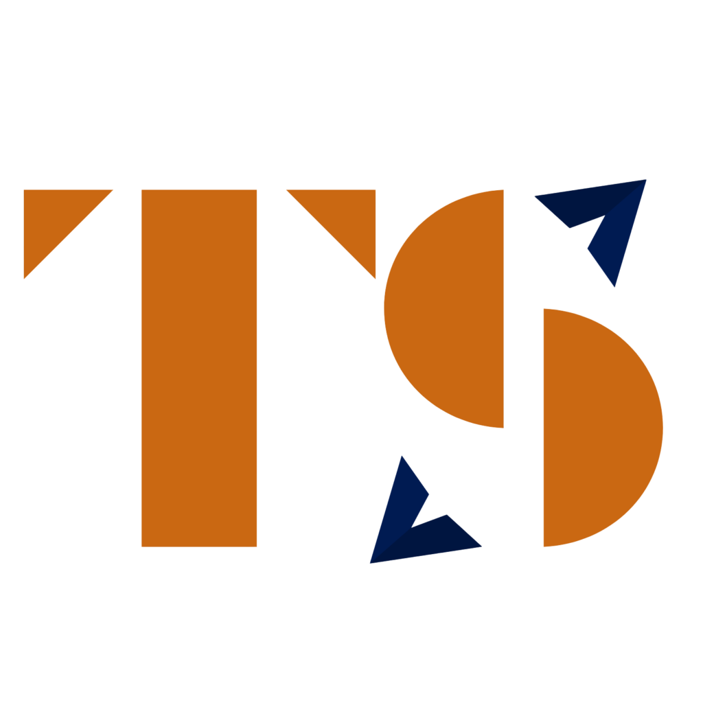 לוגו TS מעוצב בצורות גיאומטריות בצבעי כתום כהה וכחול כהה על רקע לבן, עם אותיות מופרדות לחלקים המרכיבים אותן